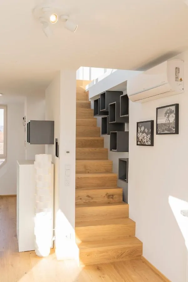 Rooftop Apartments Mit Grosser Terrasse Βιέννη